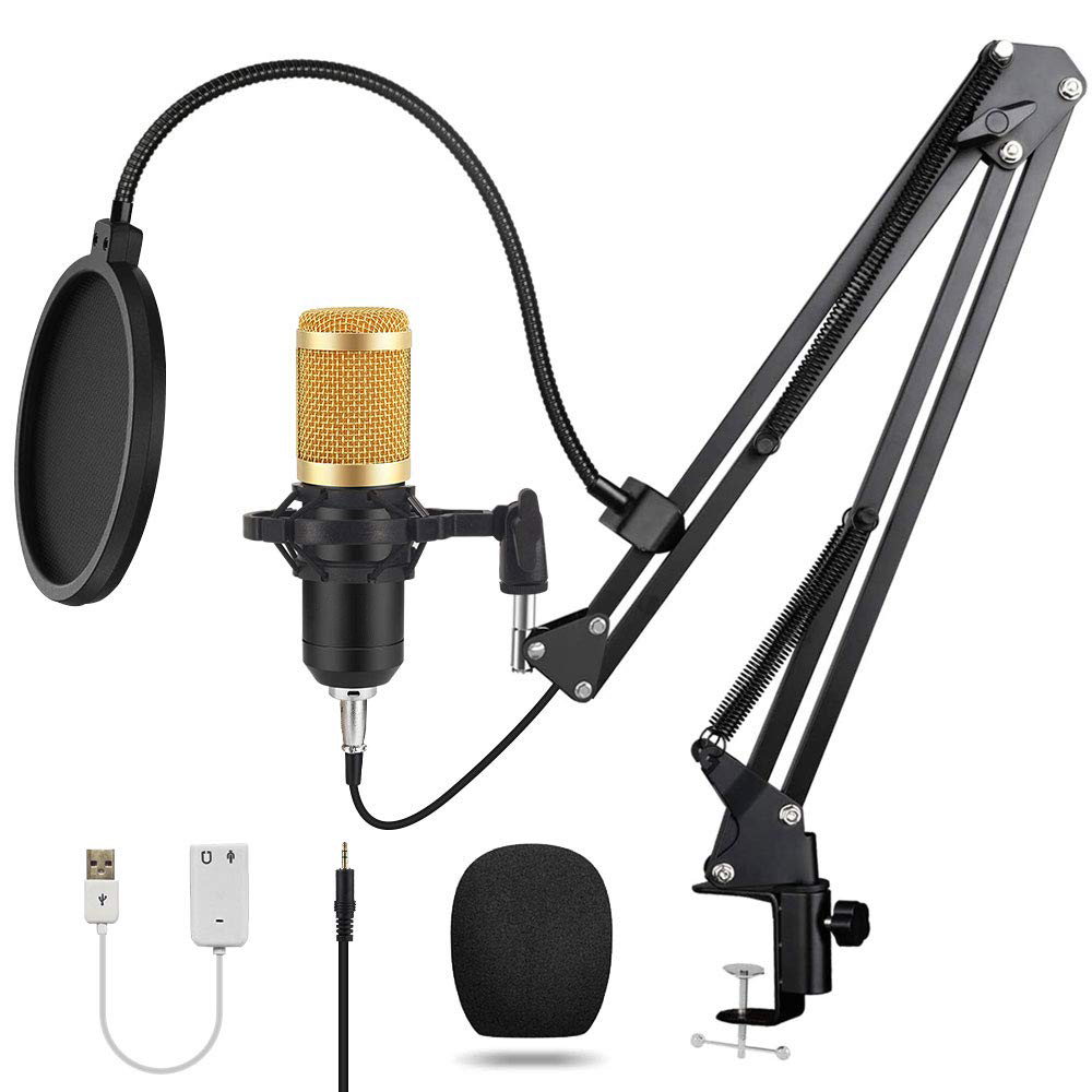 AlKhatib Technical Center-مركز الخطيب التقني,Professional  microphone - ميكروفون  احترافي