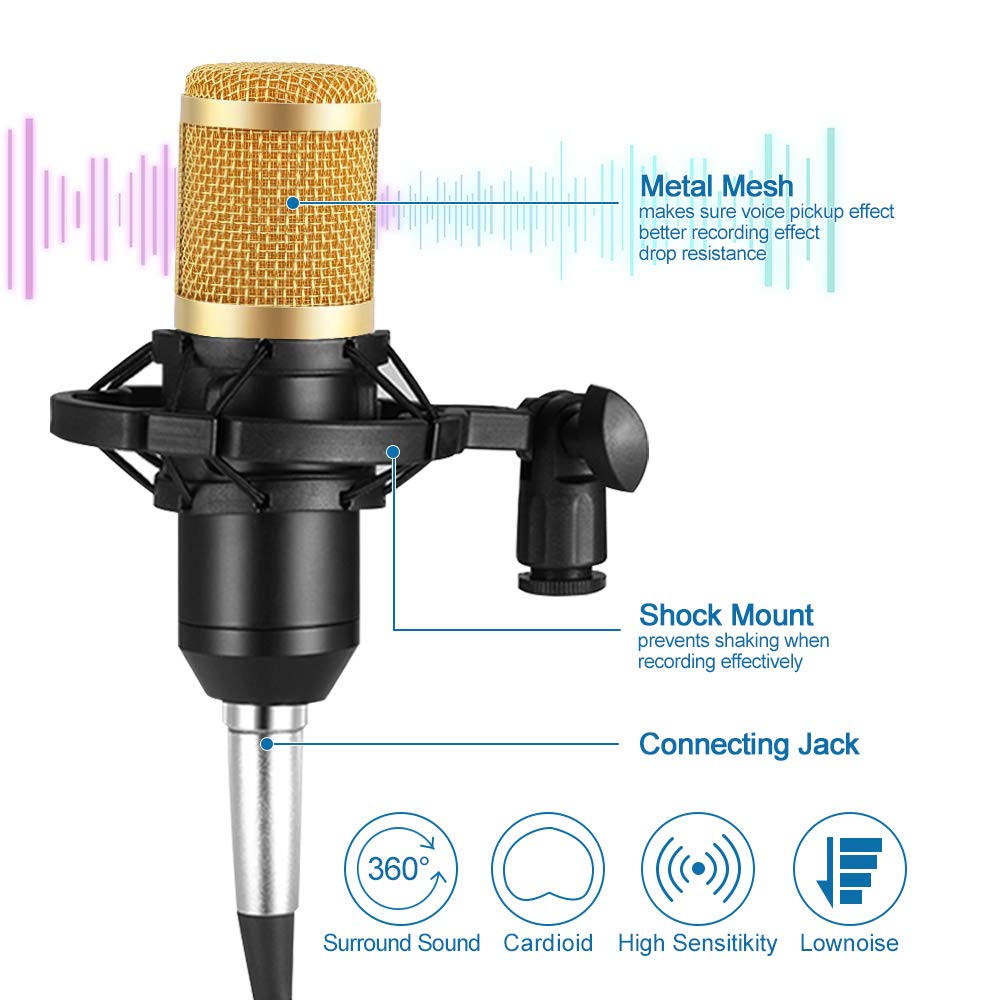 AlKhatib Technical Center-مركز الخطيب التقني,Professional  microphone - ميكروفون  احترافي